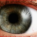 Mon Eye Health Problems that You Need to Know About