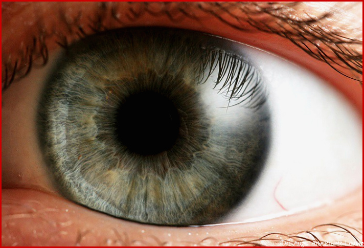 Mon Eye Health Problems that You Need to Know About