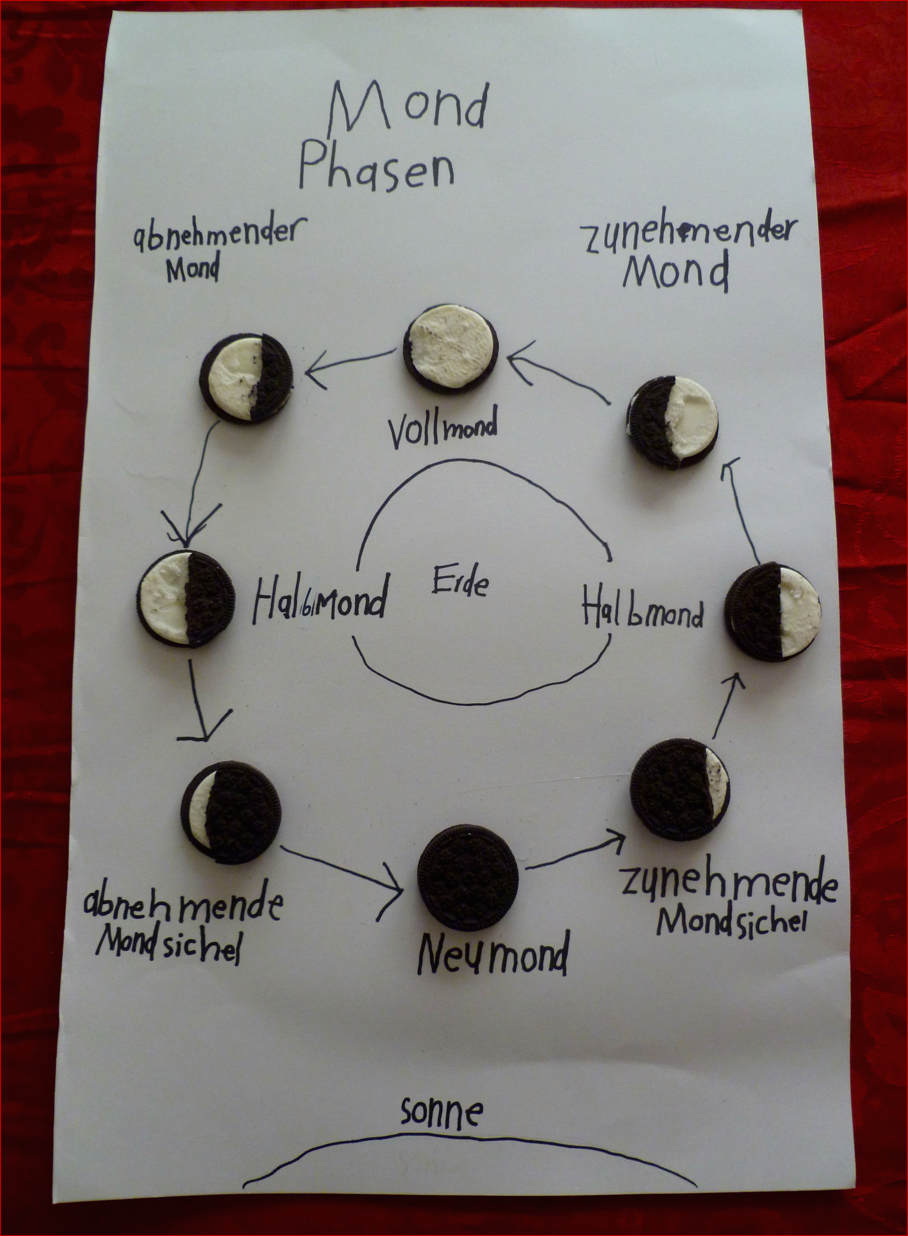 Mond Phasen Auf Deutsch From Another Pinterest User