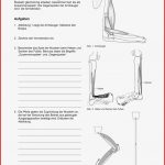 Muskulatur Und Bewegung