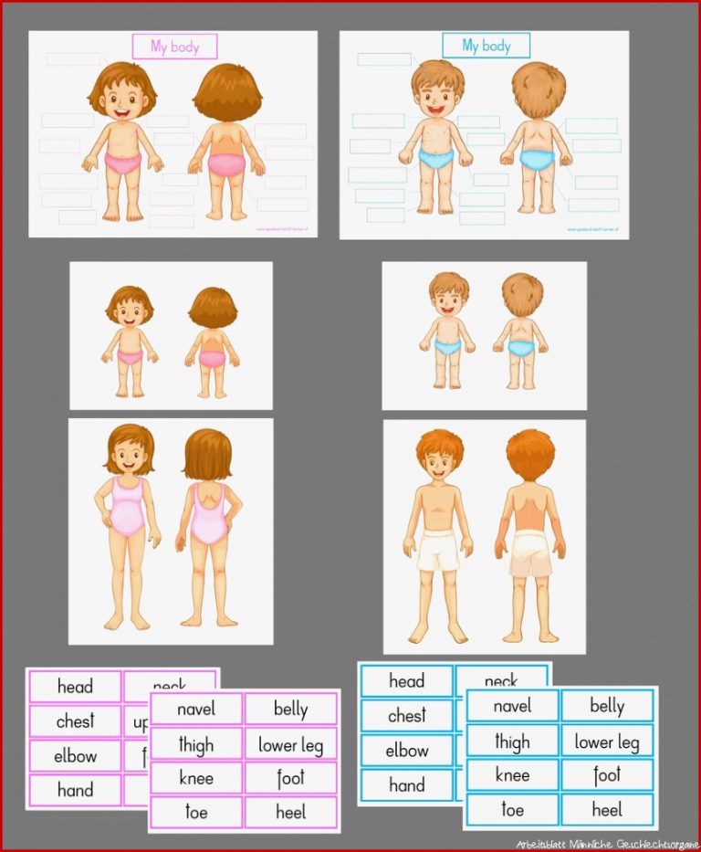 My body body parts Spielend Leicht Lernen zum Download My body body parts Spielend Leicht Lernen