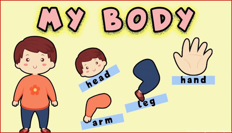 My Body | Körperteile | Englisch Lernen Kinder | Mein Körper | Englisch lernen Grundschul