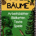 Nadelbäume Arbeitsblätter Texte Bildkarten Poster