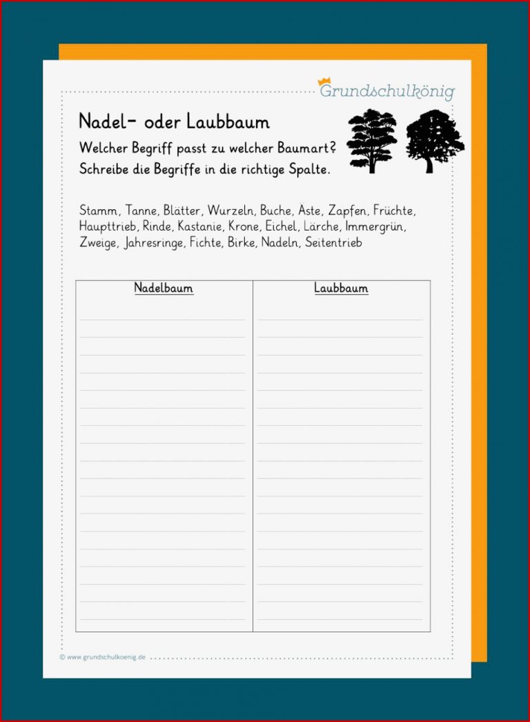 Nadelbäume / Laubbäume