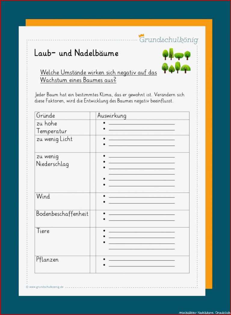 Nadelbäume Laubbäume