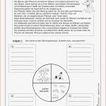 Nährstoffe Arbeitsblätter Schule Worksheets