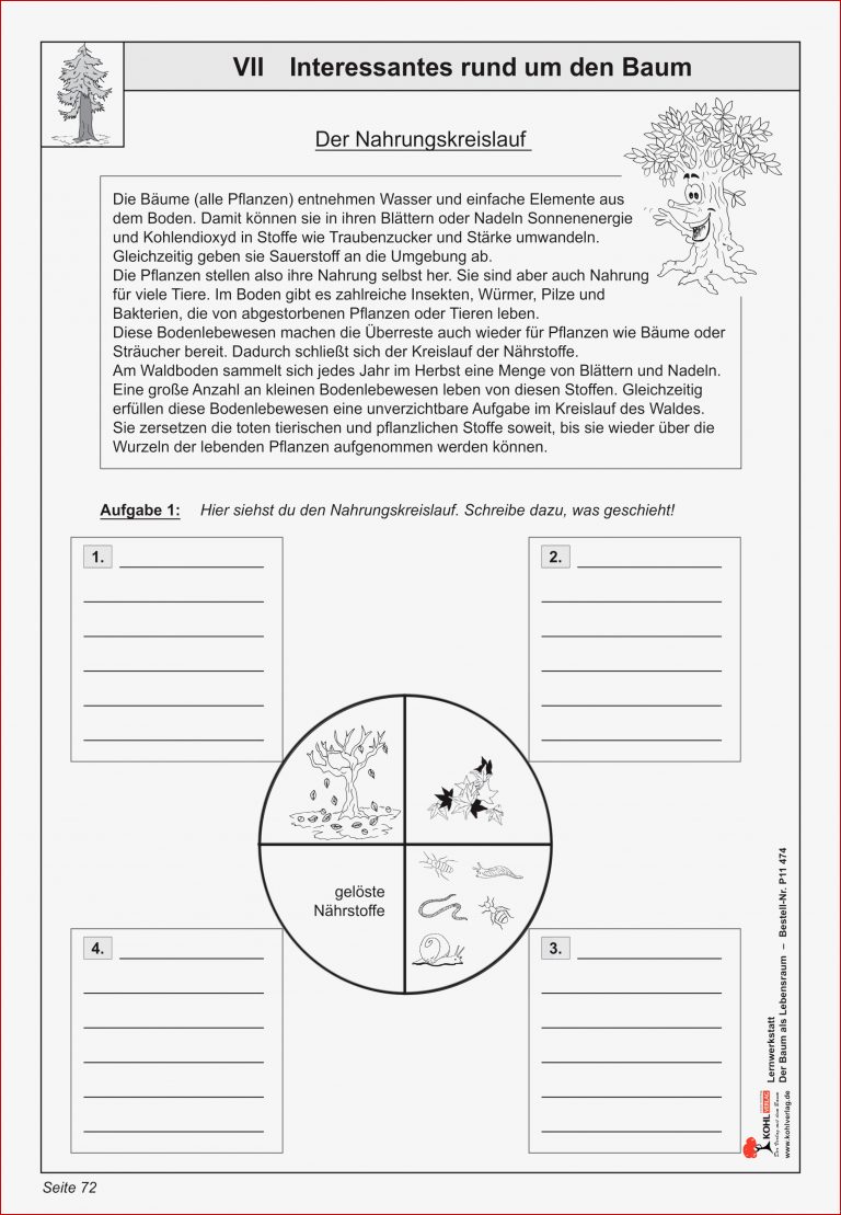 Nährstoffe Arbeitsblätter Schule Worksheets