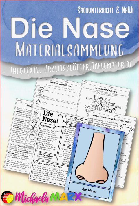 Geruchssinn Arbeitsblatt Grundschule: 5 Methoden Für 2022 | Kostenlose ...