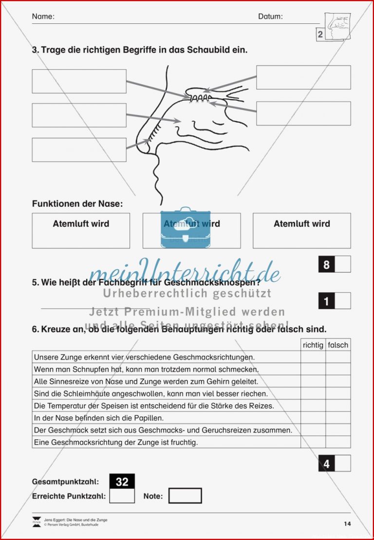 Nase und Zunge Test meinUnterricht