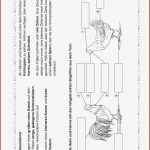 Natur Und Leben · Arbeitsblätter · Grundschule