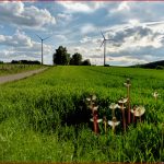 Natur Und Technik Foto & Bild