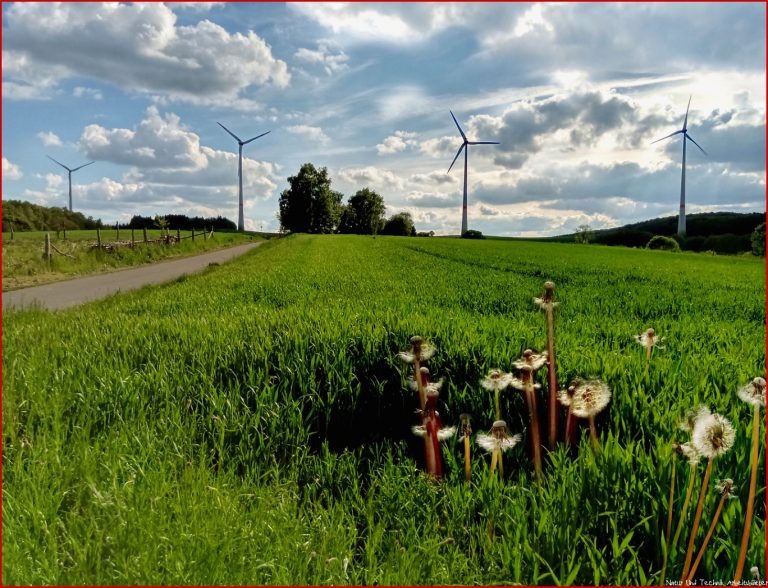 Natur Und Technik Foto & Bild