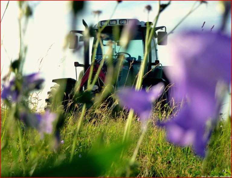 Natur und Technik Foto & Bild