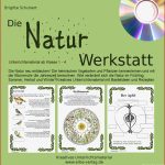 Natur Werkstatt Grundschule Arbeitsblatt Unterrichtsmaterial