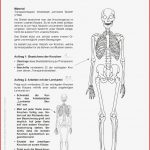 Naturwissenschaften · Arbeitsblätter · Sekundarstufe I