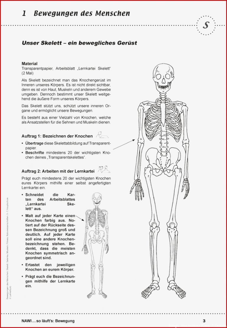 Naturwissenschaften · Arbeitsblätter · Sekundarstufe I