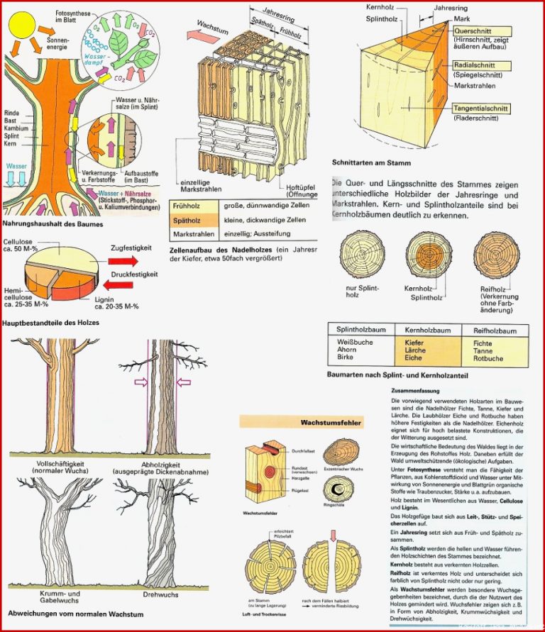 Necronomicons Holzbautechnik Grundkurs Für Grower