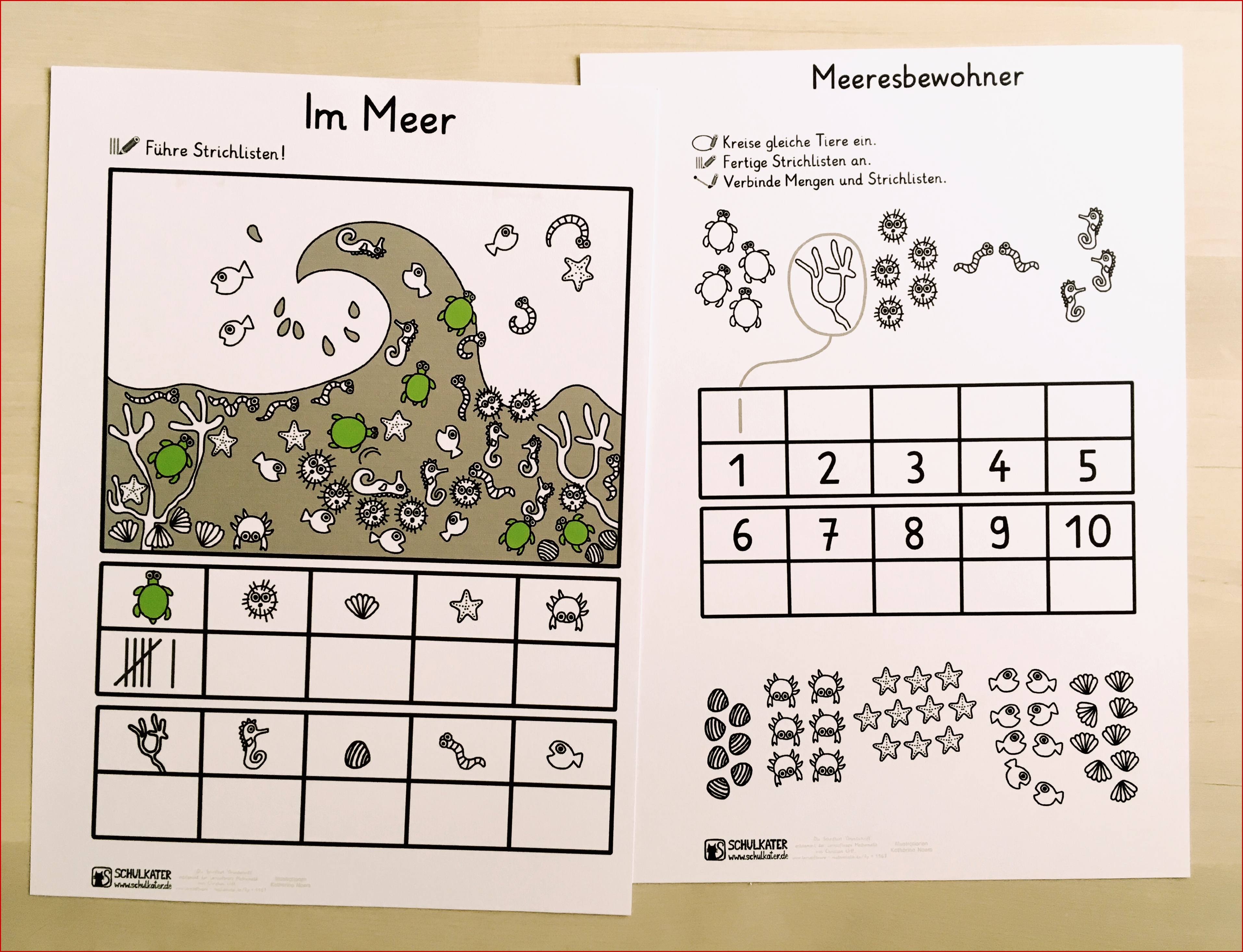 Neues Material FÃ¼r Mathematik In Klasse 1: SchildkrÃ¶ten ...