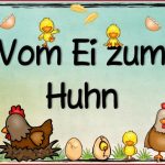 Neues themenplakat Vom Ei Zum Huhn Das Nächste Plakat Zum