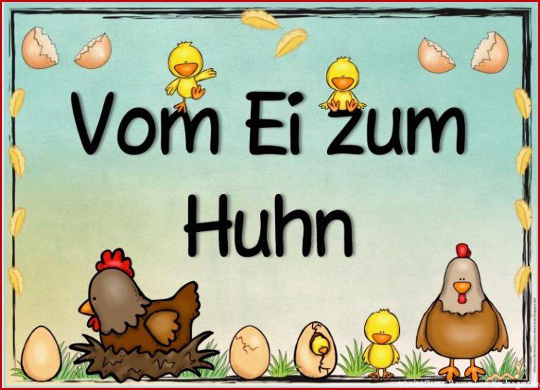 Neues Themenplakat Vom Ei zum Huhn Das nächste Plakat zum