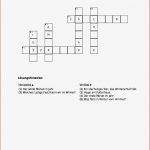 Niere Arbeitsblatt Pdf