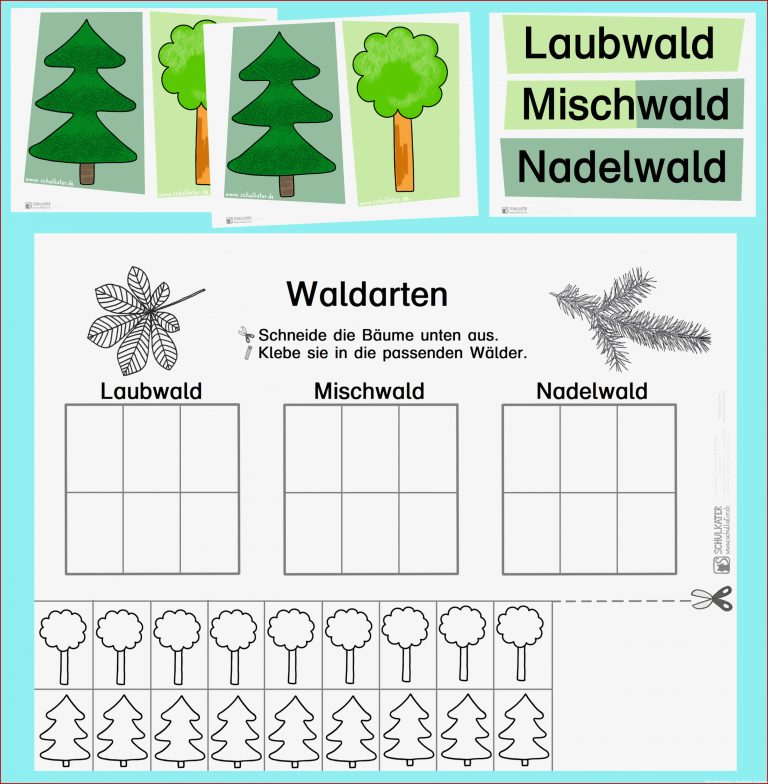 Noch Mehr Zum Wald Welche Bäume Wachsen Wo Blog