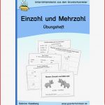 Nomen Einzahl Und Mehrzahl Übungsheft