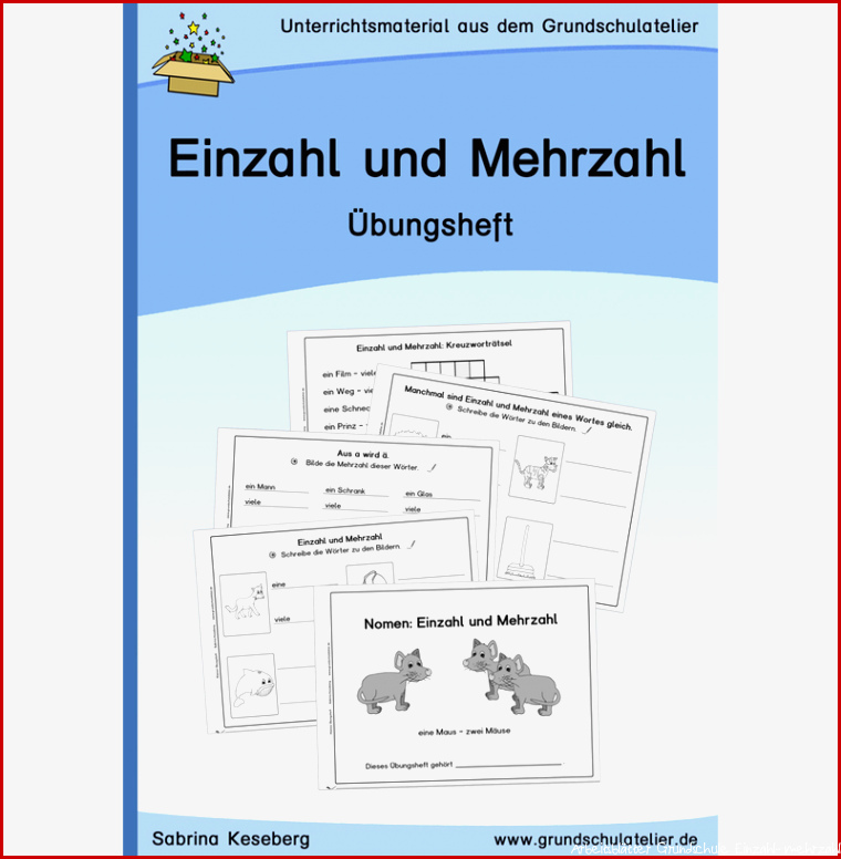 Nomen Einzahl und Mehrzahl Übungsheft