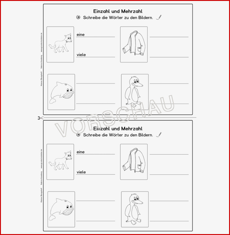 Nomen Einzahl Und Mehrzahl Übungsheft