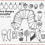 Nutrition Re Mendations
