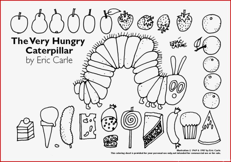 Nutrition Re Mendations