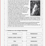 Nutztiere Grundschule Arbeitsblätter Worksheets