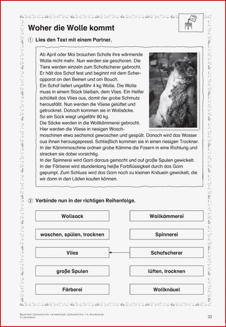 Nutztiere Grundschule Arbeitsblätter Worksheets