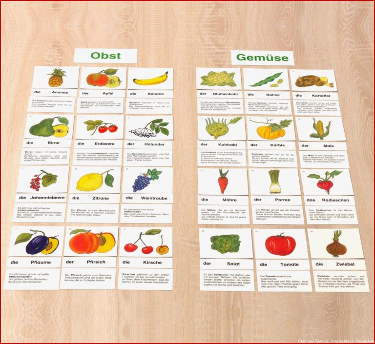 Obst und Gemüse Sortieren und Ordnen nach Kategorien üben