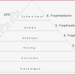 Ökologie Nahrungsbeziehungen