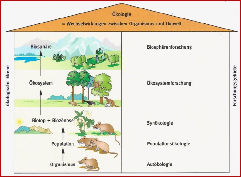 Ökologie – Neubecks Seiten