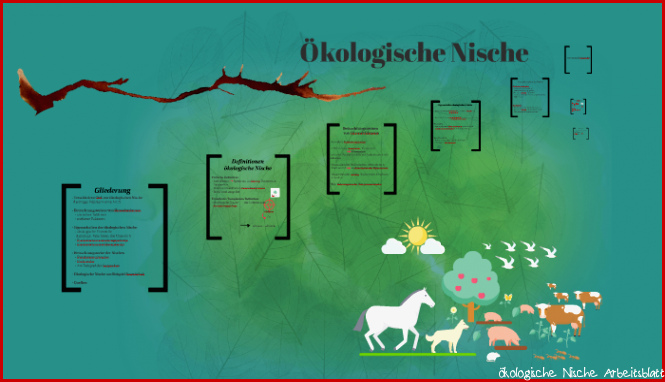 Ökologische Nische by Mariam Ibrahim