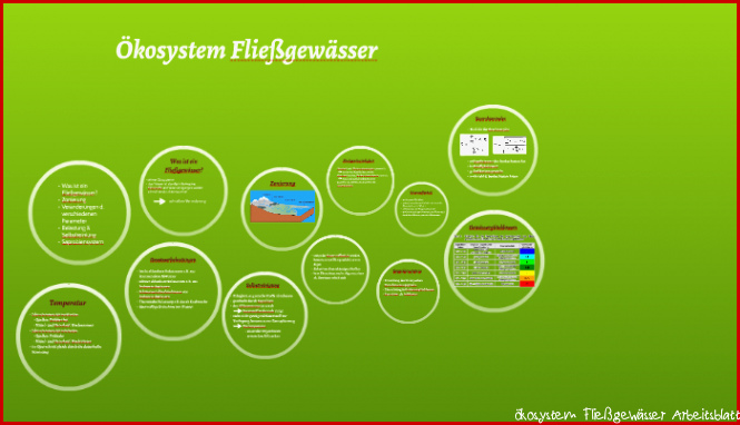 Ökosystem Fließgewässer by Janette Kaiser