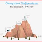 Ökosystem Fließgewässer by Stefanie Wu On Prezi Next