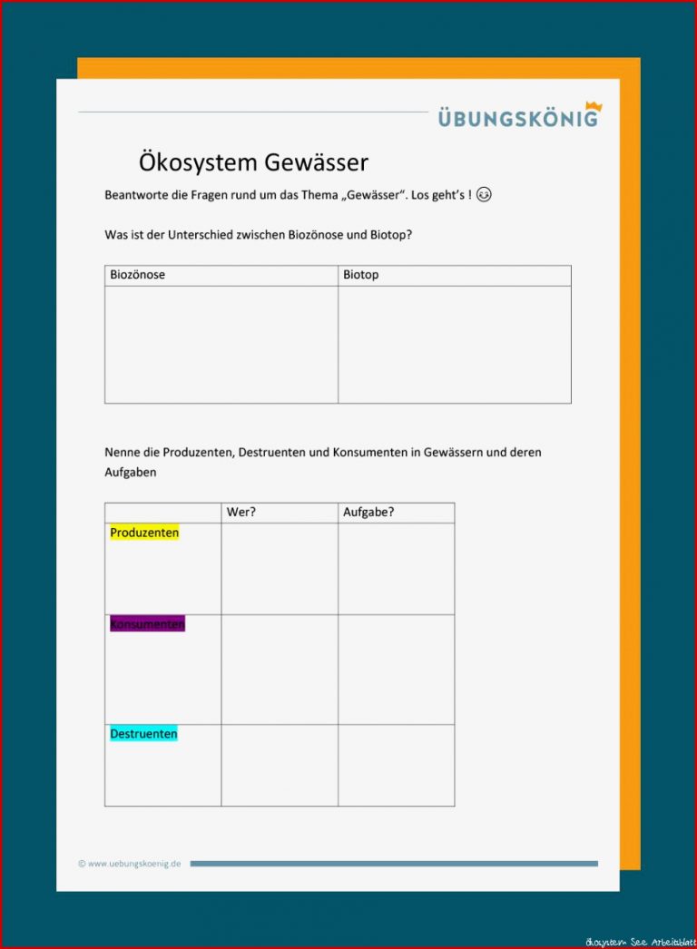 Ökosystem Gewässer