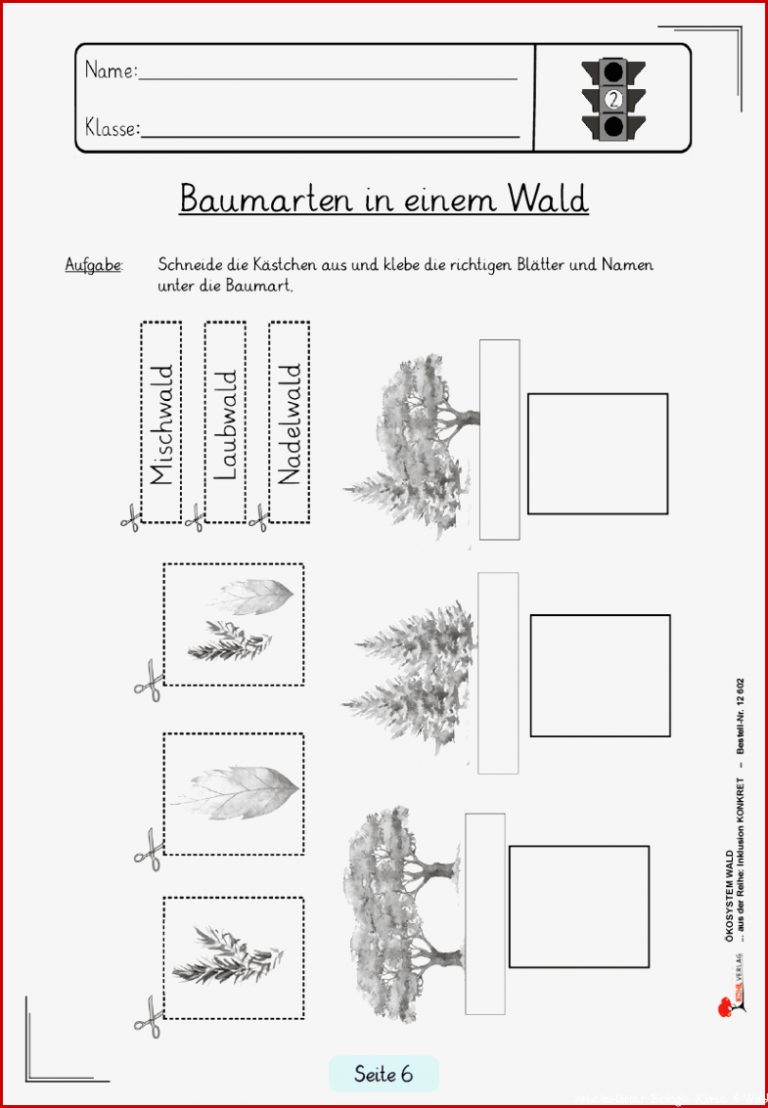 Ãkosystem Wald