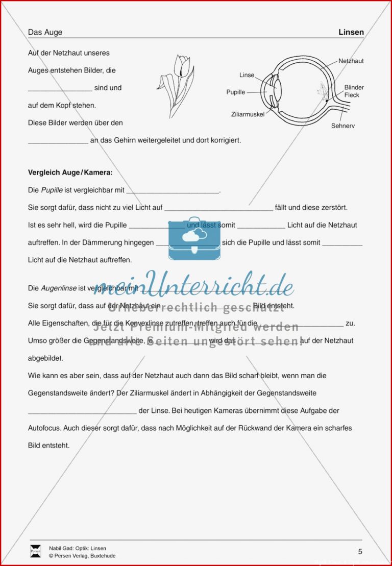 Optik Bilderzeugung Bei Der Sammellinse Vorlage