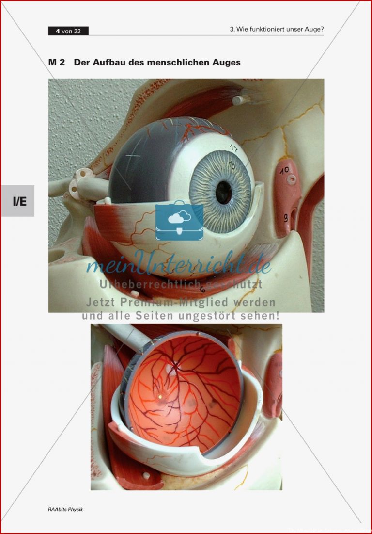 Optik Wie das menschliche Auge funktioniert Mit Aufgaben