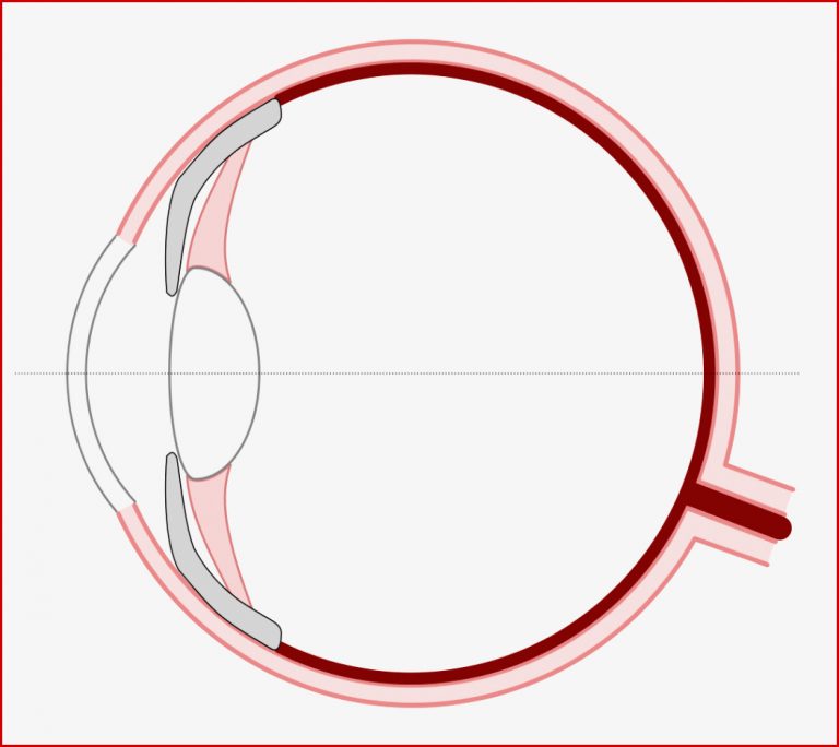 Optische Geräte — Grundwissen Physik