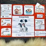 Paket Lapbook & Karteikarten Zum Hund