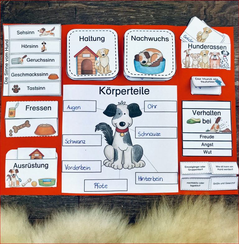 Paket Lapbook & Karteikarten Zum Hund