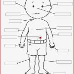 Parts Of the Body for Kids Clipart Black and White 5