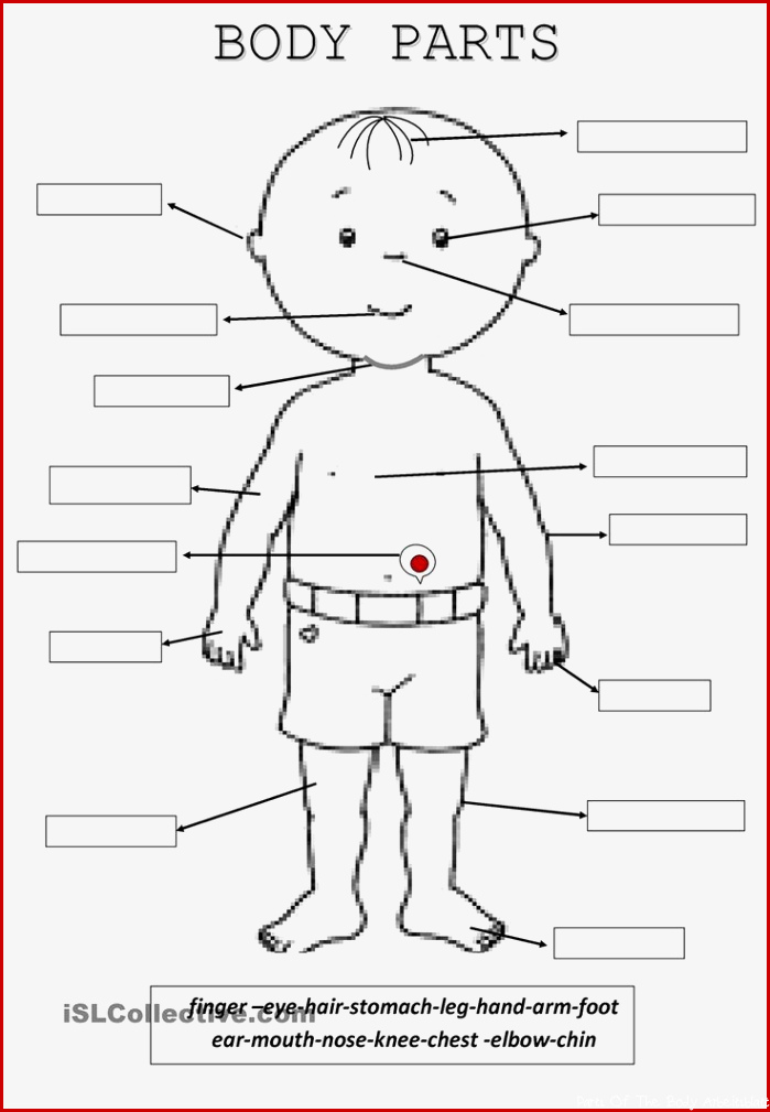 Parts of the body for kids clipart black and white 5