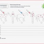 Passive Immunisierung Schule Biologie Naturwissenschaft