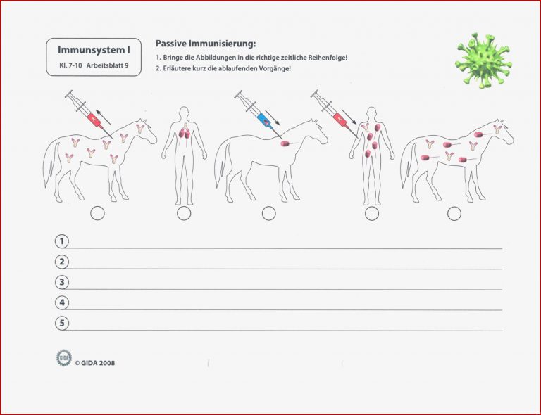 Passive Immunisierung Schule Biologie Naturwissenschaft